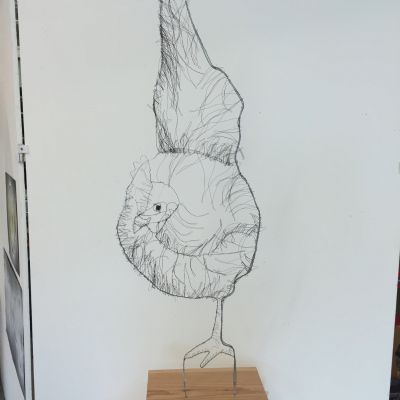 Izzy Soanes A3 - Chicken - Wire and wood.